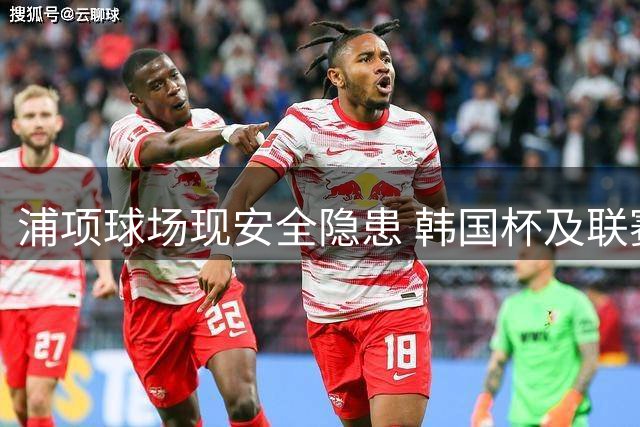 浦项球场现安全隐患 韩国杯及联赛或调整赛程